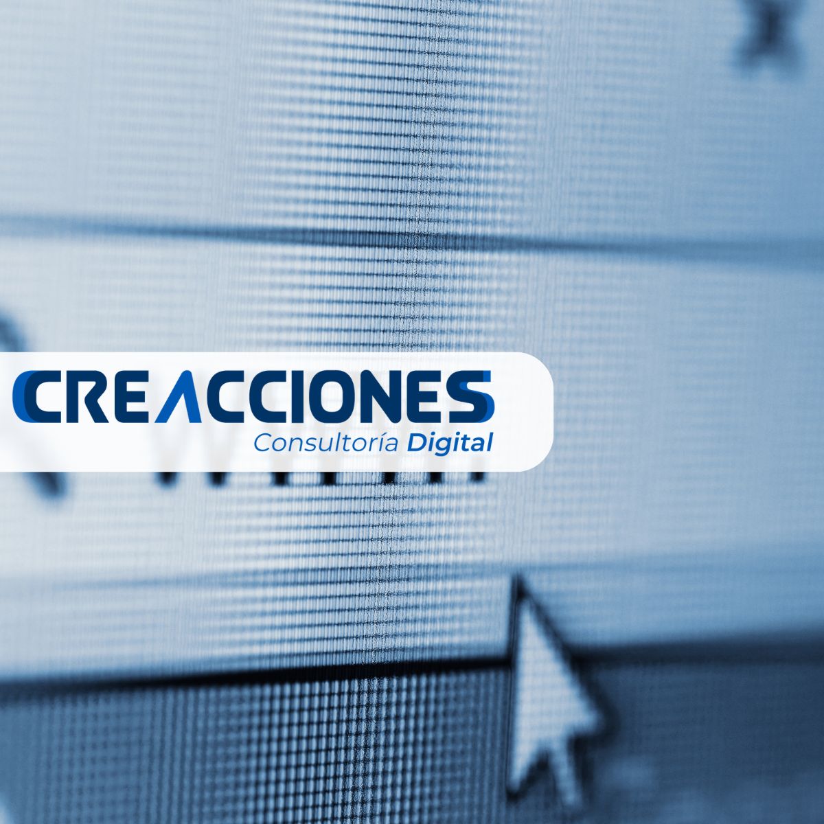 Páginas web vs redes sociales: ¿qué necesita realmente tu negocio en Guadalajara?